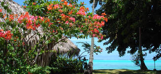 010%20Bungalow%20vue%20Lagon-Petite%20vignette.jpg