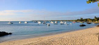 DSC_2333a-Grande.jpg