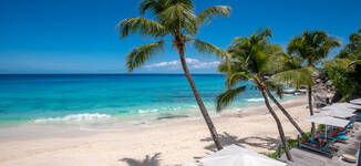 Beach%20form%20Above-Petite%20vignette.jpg