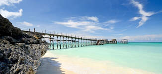 JETTY-Grande.JPG