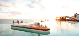INFINITY%20POOL-Grande%20vignette.jpg
