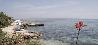 beach5-Petite%20vignette.jpg