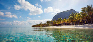 893_LLM_BEACH_22_5532x3688-Petite%20vignette.jpg