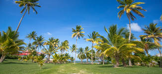 Location_Villa_Jardin_Les_Villas_Du_Lagons_Le_Francois_Cap_Est_Martinique_02-Grande%20vignette.jpg
