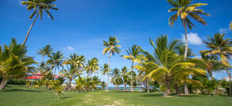 Location_Villa_Jardin_Les_Villas_Du_Lagons_Le_Francois_Cap_Est_Martinique_02-Petite%20vignette.jpg
