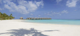 18-19Aug20_Maafushivaru_3029-Petite%20vignette.jpg