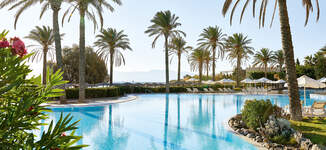 15-Freeform-landscaped-pools-with-waterfalls-and-rivers_72dpi-Grande%20vignette.jpg