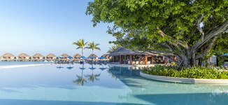 dusit-thani-maldives-pool-exterior-Petite%20vignette.jpg