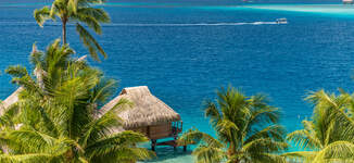 maitai-3_41667803261_o-Petite%20vignette.jpg