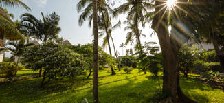 Gardens-1-Grande.jpg
