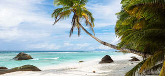 Resort_1-Grande%20vignette.jpg