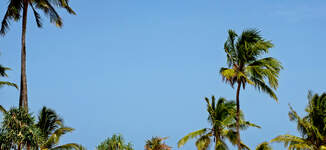 ATM-3523-Grande.jpg