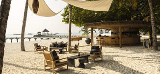 SSR_BrandImagery_Bar_20241-Grande%20vignette.jpg