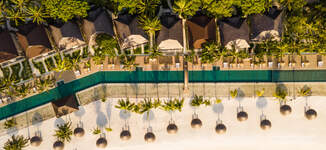 SSO_CoconutCrew_General_04.20253-Grande.jpg