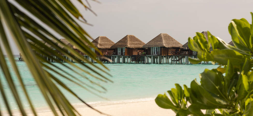 https://img.hotelissima.com/medias/47035-x1920/_.jpg