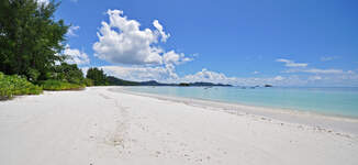 BEACH%20(5)-Grande%20vignette.jpg
