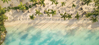 SECLR_Aerial_Beach_Shore_Birdeseye-Petite%20vignette.jpg
