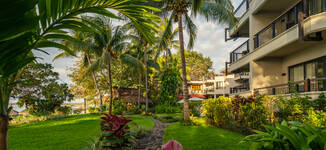 Casuarina__ALX5055-Petite%20vignette.jpg
