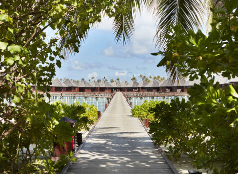 https://img.hotelissima.com/medias/49740-x1920/_.jpg