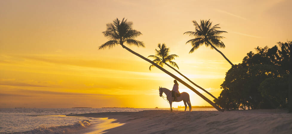 https://img.hotelissima.com/medias/49806-x1920/_.jpg