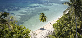 aerial_view_of_beach-Grande%20vignette.jpg